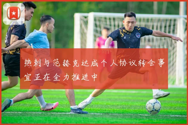 热刺与范赫克达成个人协议转会事宜正在全力推进中