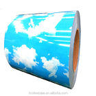 Color Coated Prepainted Galvanized Steel Coil PPGL PPGI For Construction