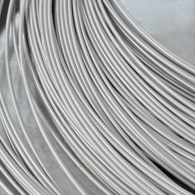 SS 304/316/321 Stainless Steel Braiding Mesh/Wire